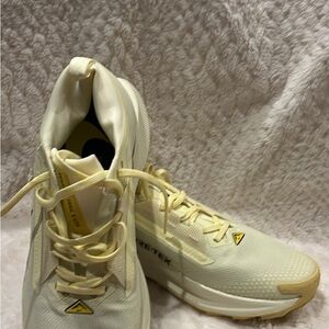 Nike Pegasus Trail Runner Gore-Tex